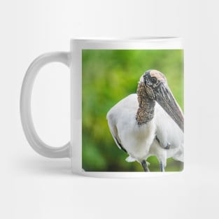 Wood stork  2 Mug